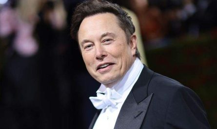 Elon Musk la costum festiv