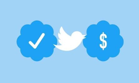 Twitter Elon Musk prea multi bani bifa albastra