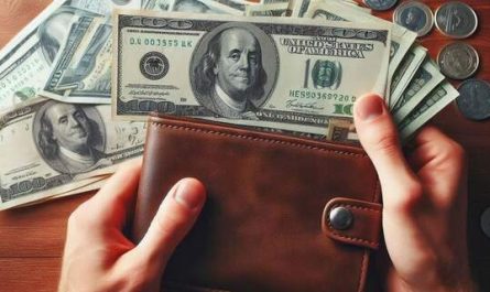 bani si portofel salariu