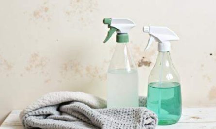 Cum să scapi de mucegai ieftin și rapid folosind soluții și ingrediente pe care le avem în casă