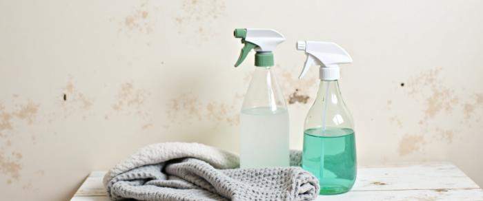 Cum să scapi de mucegai ieftin și rapid folosind soluții și ingrediente pe care le avem în casă
